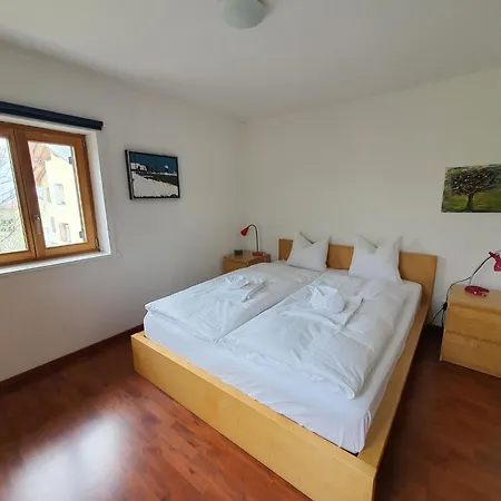 Tgesa Grischa By Interhome Διαμέρισμα